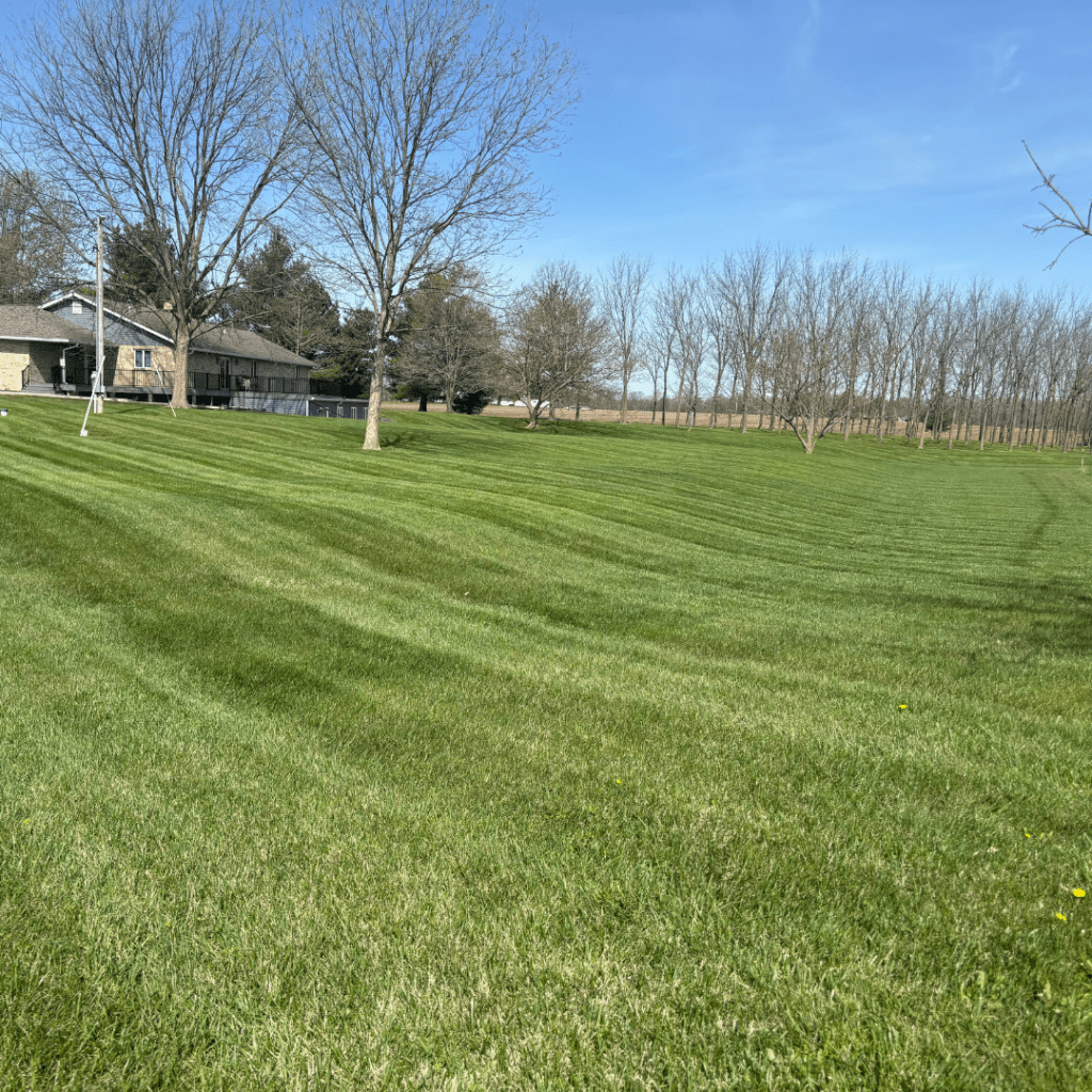 Mirror Image Lawn Mowing Service Trenton, IL