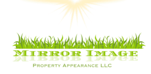 Lawn care Mirror Image Properties